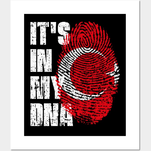 IT'S IN MY DNA Turkey Flag Boy Girl Gift Wall Art by simonStufios